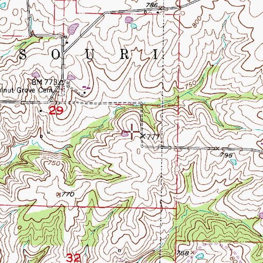 Topographic Map of Walnut Grove School (historical), MO