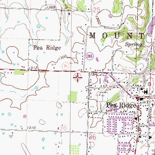 Topographic Map of Pea Ridge High School, AR