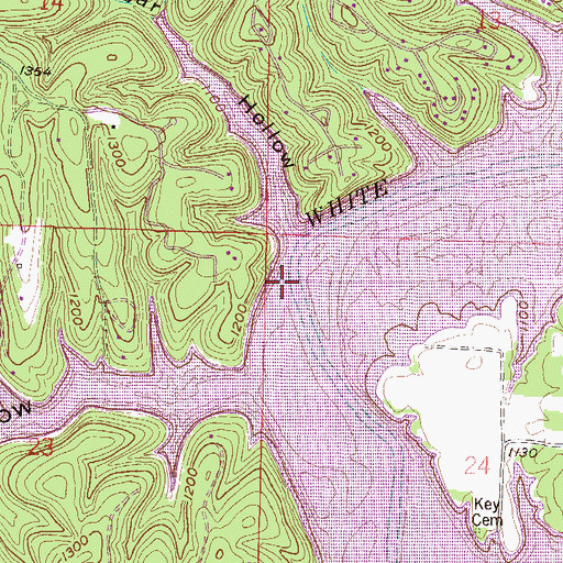 Topographic Map of Pine Creek, AR