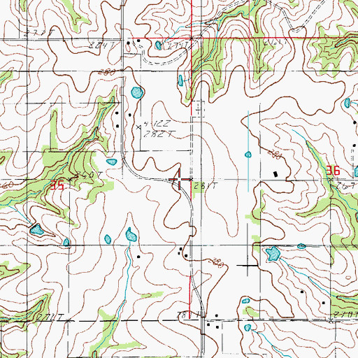 Topographic Map of Buttsville, MO