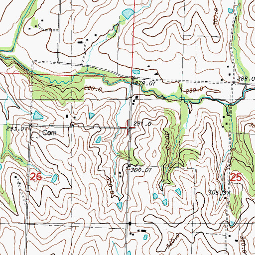 Topographic Map of Rankin, MO