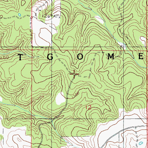 Topographic Map of Sunnyside Post Office, MO