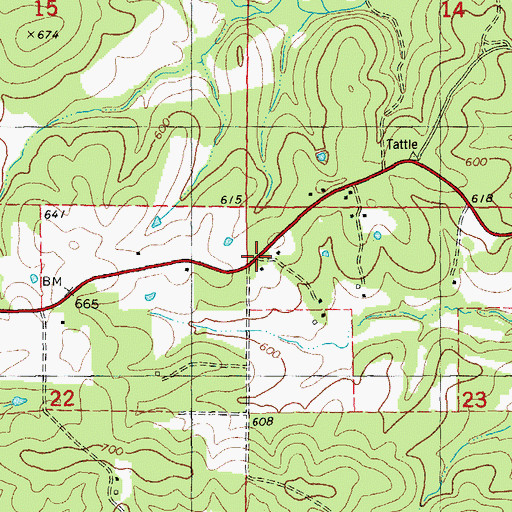 Topographic Map of Carie Post Office, MO
