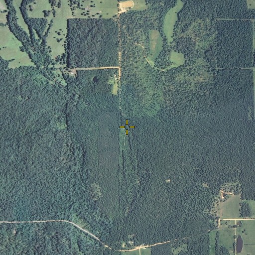 Aerial/Satellite Image of Cogshell Branch, MO