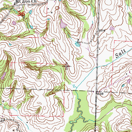Topographic Map of Boonslick, MO