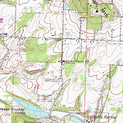 Topographic Map of Silent Grove, AR