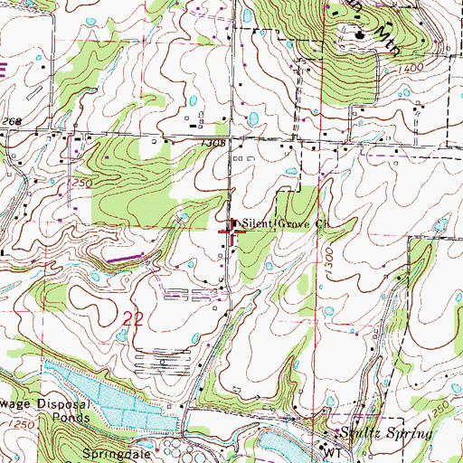 Topographic Map of Silent Grove Cemetery, AR