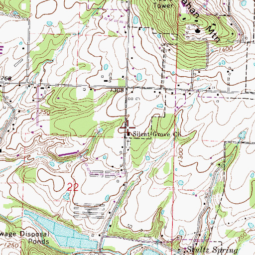Topographic Map of Silent Grove School (historical), AR