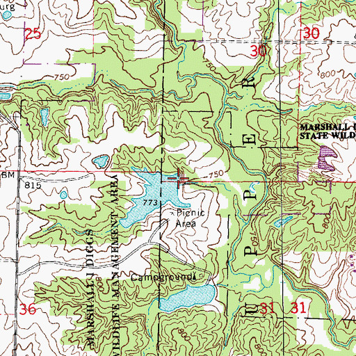 Topographic Map of Marshall Diggs Wildlife Area Dam - North, MO