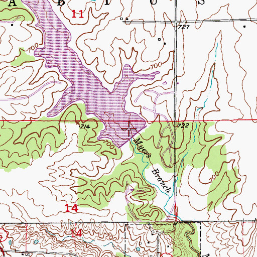 Topographic Map of Henry Sever Dam, MO