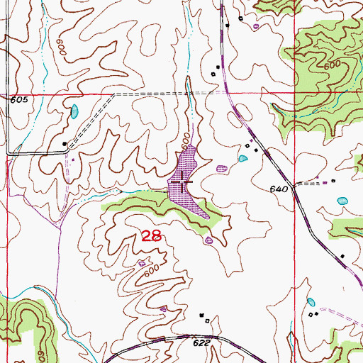 Topographic Map of Waganer Lake, MO