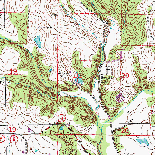 Topographic Map of Nestor and Literman Lake, MO