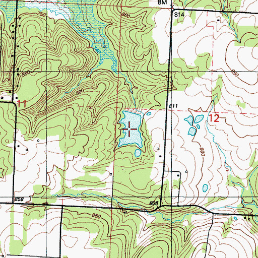 Topographic Map of Flag Spring Lake, MO