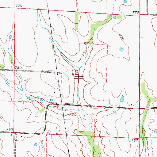 Topographic Map of Camerer Lake, MO