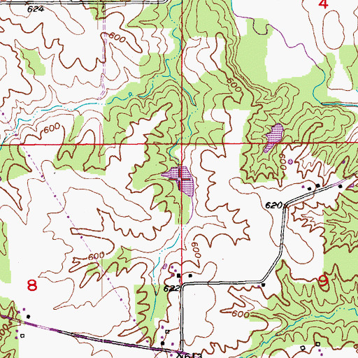 Topographic Map of Garkie Lake Section 8, MO