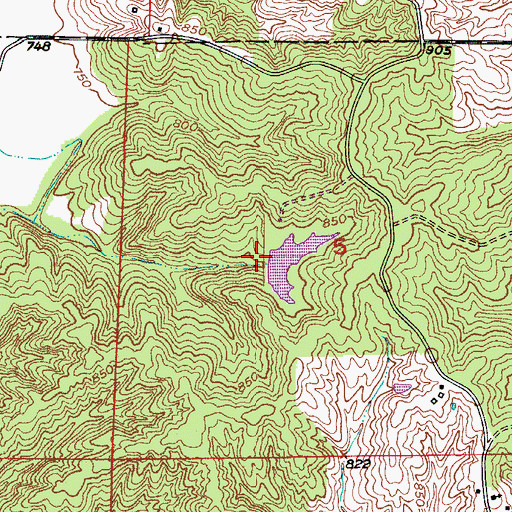 Topographic Map of White Lake Dam, MO