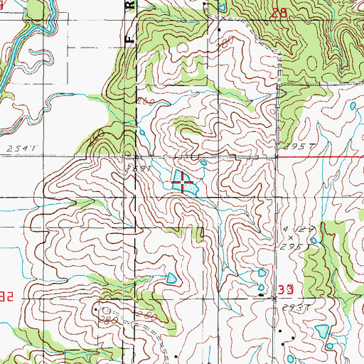 Topographic Map of Parr Lake, MO