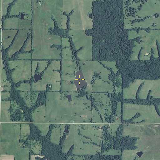 Aerial/Satellite Image of Dolan Lake, MO