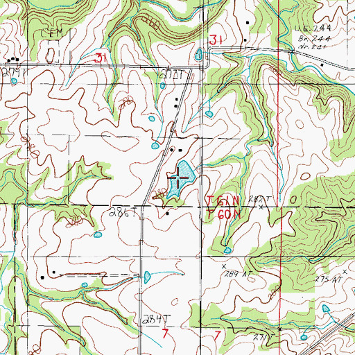 Topographic Map of Wayne Moore Lake, MO