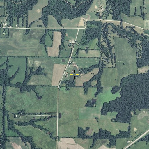 Aerial/Satellite Image of Wayne Moore Lake, MO