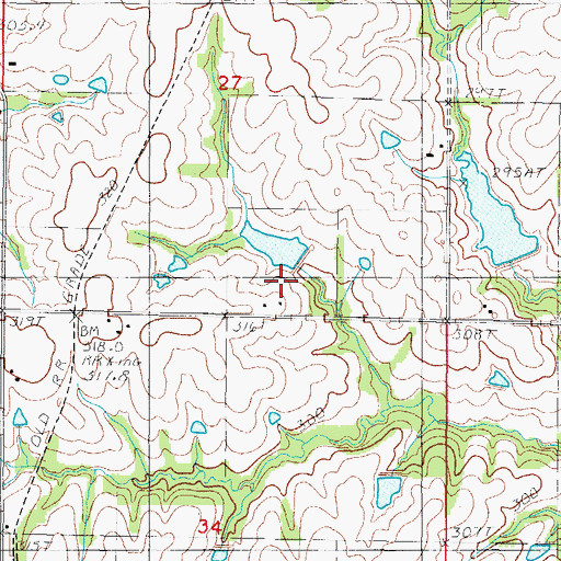 Topographic Map of D Buis B-11 Dam, MO