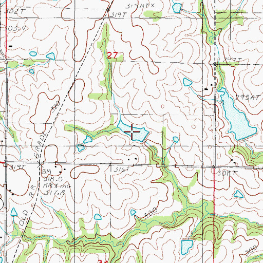 Topographic Map of D Buis Lake, MO