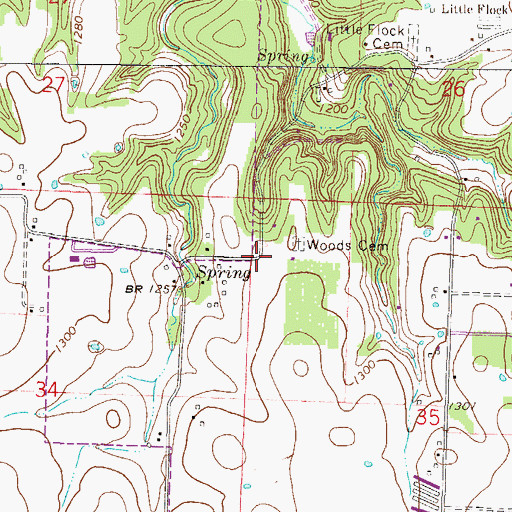 Topographic Map of Woods (historical), AR