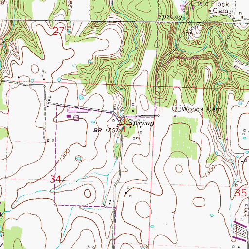 Topographic Map of Woods Springs, AR