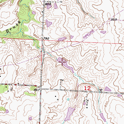 Topographic Map of Bertz Lake, MO