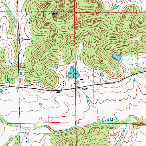 Topographic Map of White Lake, MO