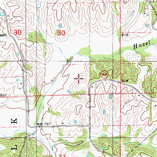Topographic Map of Horn Lake, MO