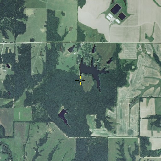 Aerial/Satellite Image of Smith Lake Dam, MO