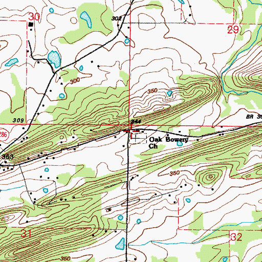 Topographic Map of Oak Bowery School (historical), AR