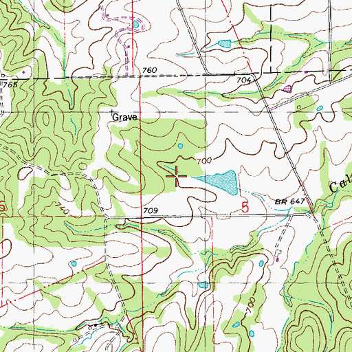 Topographic Map of J R Wilson Dam, MO