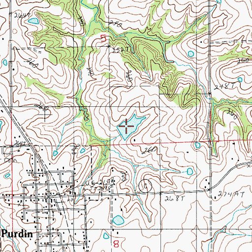 Topographic Map of Number 217 Reservoir, MO