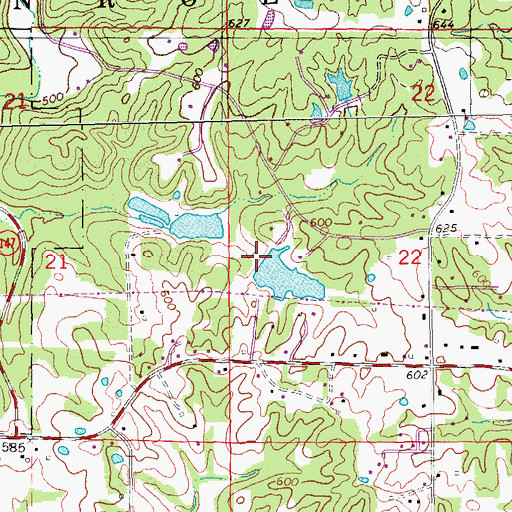 Topographic Map of Spring Branch Farm Lake Dam, MO