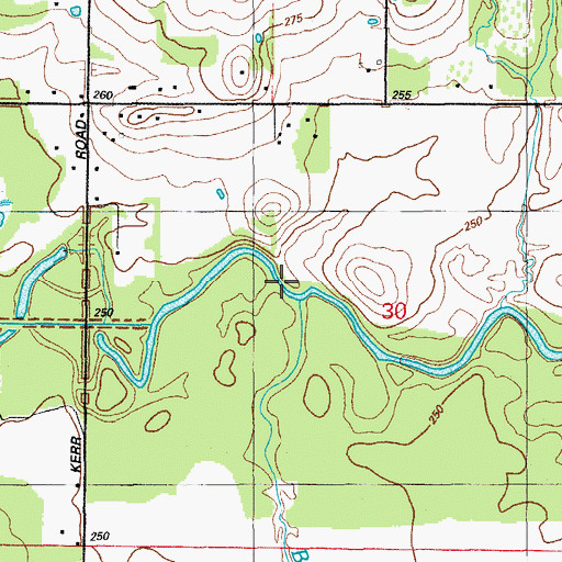 Topographic Map of Burris Branch, AR