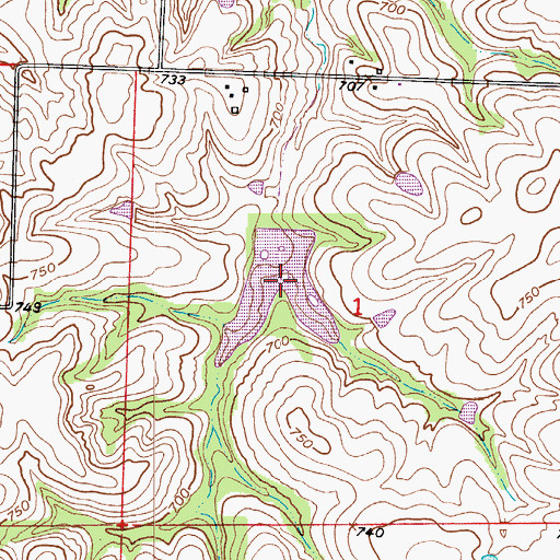 Topographic Map of Elson Reservoir, MO