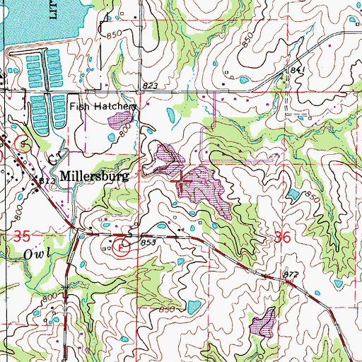 Topographic Map of Baumgartner Dam, MO