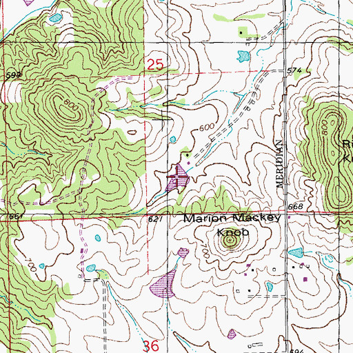 Topographic Map of Love Lake, MO
