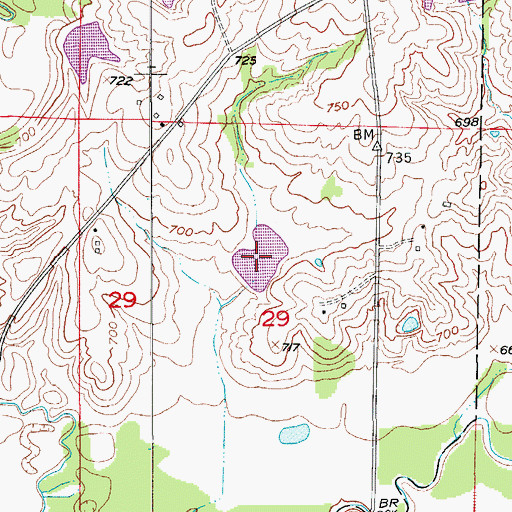 Topographic Map of Wallace Ryals Lake, MO