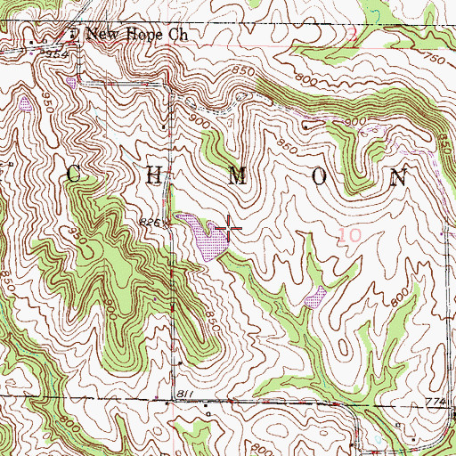 Topographic Map of Tanner Lake Dam, MO