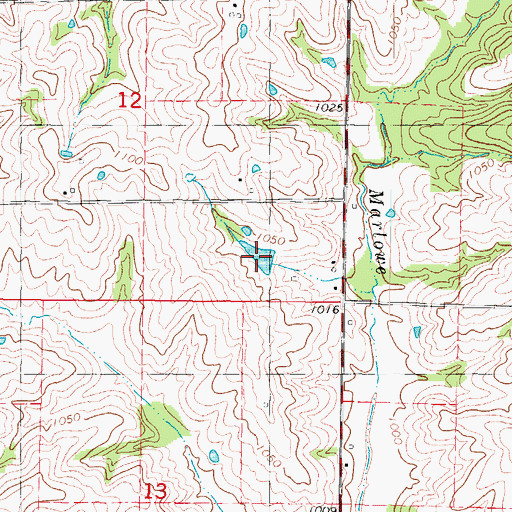 Topographic Map of Zollman Lake, MO