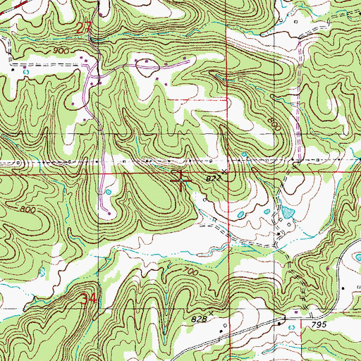 Topographic Map of Wertz Lake, MO