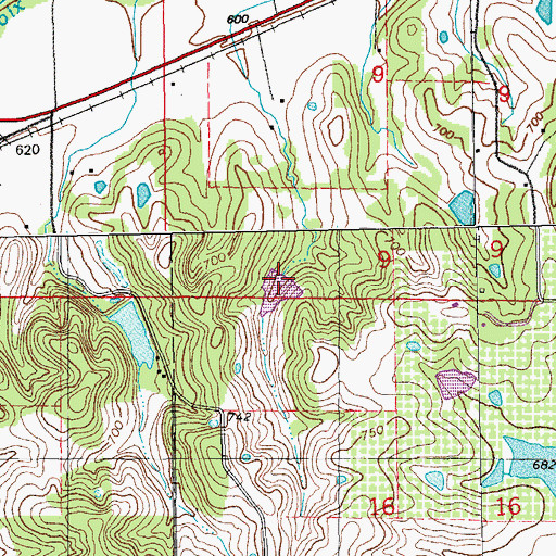 Topographic Map of Paul Williams Dam, MO