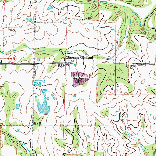 Topographic Map of Ginn Lake, MO