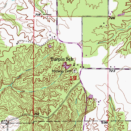 Topographic Map of Stice Lake, MO