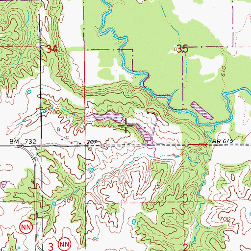 Topographic Map of Herring Lake Dam, MO