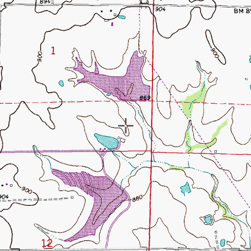 Topographic Map of Borman Lake Dam, MO