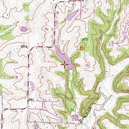 Topographic Map of Hedges Lake Dam, MO